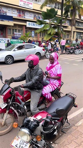 Luwilight Court Appearance Updates at City Hall