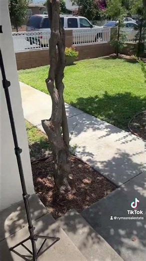 🏡 Buena Park Duplex Tour | Great Investment Opportunity in Orange County!