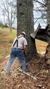 46K views · 450 reactions | Tigercat machine USA ☘️蝹 . . . . #tigercatmachines #tigercatforestry #forestry #logging #heavyequipment #forestryequipment #timberharvest #skidder #bogie #bogieskidder #cosechaforestal #equiposforestales #maquinasforestales #maquinariaforestal #operacionforestal #colheitaflorestal @followers @top fans | Peake Warren | Facebook