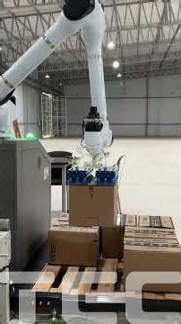 Robot Colaborativo de Paletizado