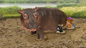 Watch Wonder Pets: In the City Season 1 Episode 4 - Save the Hedgehog! / Save the Hippo!