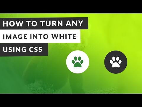 How to Change Image Color into White using CSS (EASY)