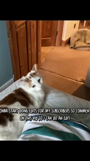 Gonna start doing edits for my subscribers