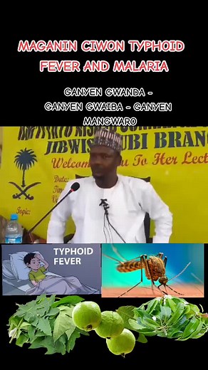 Maganin Ciwon Typhoid da Malaria: Shawarwari
