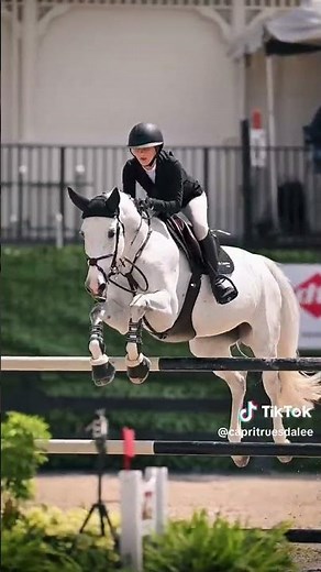 What colors go best with each horse coat color?