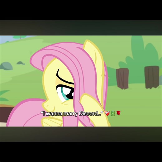 Exploring Fluttercord: A Canon Romance