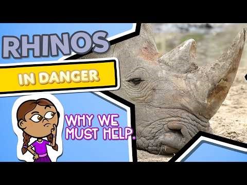Why Rhinos Are Endangered | Save Rhinos from Extinction