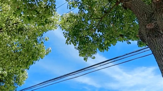 德颐咖啡机维修中心|24小时全国统一售后受理中心电话4008120310