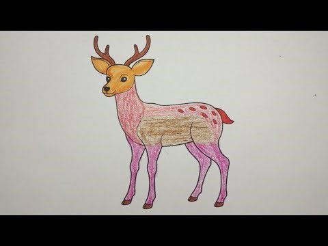How I Paint Animals So Realistic | Deer Coloring Art | From Blank Canvas to Wild Beauty