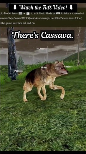 Seeing the new pups' coats! #wolfquest #puppers #bouncingintothesaga