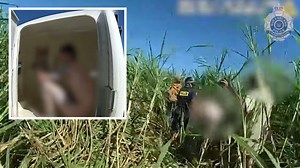 Naked man arrested in Queensland canefield