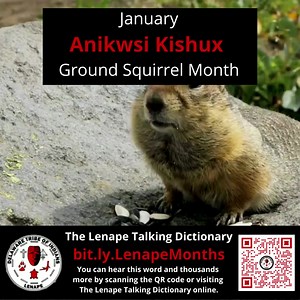 The first language post of the year! Click the link to hear the audio: https://www.talk-lenape.org/results?query=January | Delaware Tribe of Indians