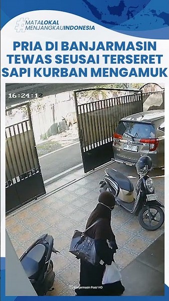 Detik detik Pria Terseret Sapi Kurban Mengamuk di Banjarmasin, Korban Terkapar Lalu Meninggal