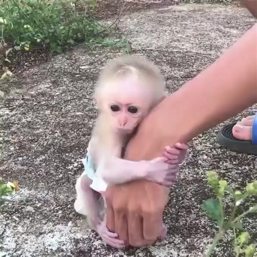 No body wants to adopt me