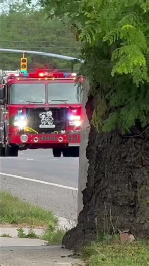 Bethpage Fire Department Engine 44 responding to a alarm sounding