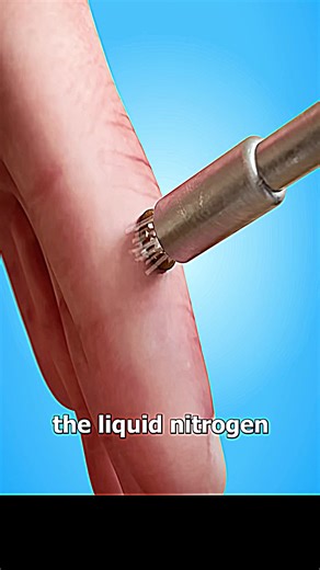 Exploring the Art of Animation in USA Filmmaking