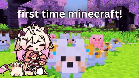 man thank you guys so much for all the support! i am very picky with what sponsors i take, and try to only take ones you guys will enjoy watching! and I had the best time! will come back to minecraft in the future !