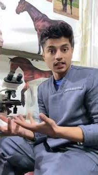 How to collect sample of your animals for lab test and diagnosis. #labanimals #trending #cat #dogs