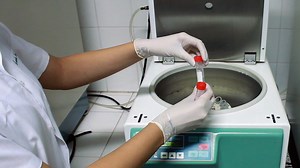 Derivation and Differentiation of Canine Ovarian Mesenchymal Stem Cells