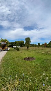 39M views · 596K reactions | We’re out in Mason this week doing some on-site tree moving! The customer wanted this big variegated maple moved from the back of their property to the front, and it looks great!  // #foxtreefarm #shadetree #treeinstallation #spadetruck #mapletree #landscaping #bluecollar #bigjohn #lansingmichigan | Fox Tree Farm | Facebook