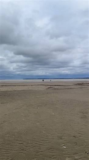 🌊 Seiche on Lake Erie | Powerful Great Lakes Water Phenomenon 🌊 Today on the shores of Lake Erie, we experienced a rare and powerful natural event — a seiche, where strong winds and atmospheric pressure create dramatic water level changes, causing waves to rapidly surge and recede along the shoreline. This sudden rise and fall of water is a reminder of the raw power of the Great Lakes and how quickly conditions can change. A seiche feels like the lake is breathing — fast, intense, alive. Watch