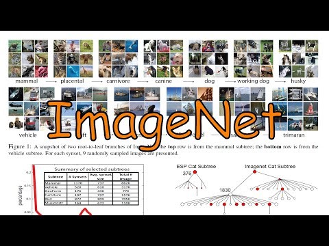 论文分享002 | ImageNet | 当世界无法被理解，她选择先让世界被看见