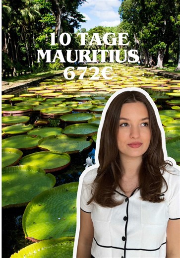 anzeige: Die Links findet ihr auf meiner Website! 🐢🇲🇺🏝️🐠🐚 #mauritius #afrika #reisetipps #günstigreisen #reiseangebote