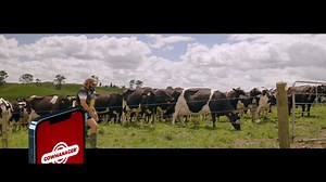 The transition period is the primary risk period where 75% of all adult cow disease events find their origin. Identify these ‘at-risk’ cows up to 50 days before calving with CowManager's Nutrition Module. Get in-depth insights on cow nutrition and well-being with alerts for heat stress, group health issues, feed intake and transition problems. Learn more: https://bit.ly/3G9VBp5 | CowManager