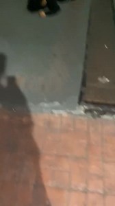 Reese Andrei 🛹💥🚲#skatescenephilippines 🇵🇭 | Skate Scene Philippines