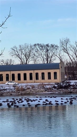 Wolf Moon rising over the Fox River. West Dundee, Illinois, January 2, 2026. #wolfmoon
