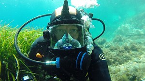 Wrangling the Ocellated Wrasse