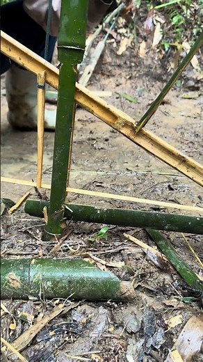 “I Tried a Bamboo Mouse Trap… You Won’t Believe What Happened! 🐭😱”