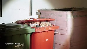 London: Increase in 'plague of rats' investigated by team