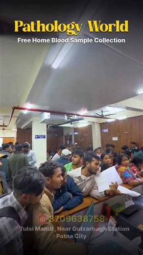 Pathology world | Patna on Instagram: "🧪 Pathology World – Your Trusted Diagnostic Partner ✅ Free Home Blood Sample Collection ✅ All types of blood & pathology tests available ✅ Accurate reports • Experienced staff 📍 Location: Tulsi Mandi, Near Gulzarbagh Station 📞 Contact: +91 870-9638758 Your health, our priority {Patna, Patna City, Patna City Pathology, Pathology World Patna, Blood Test Patna, Home Blood Collection Patna, Patna Diagnostic Lab, Gulzarbagh Patna, khan Sir, Khan Sir Hospital,