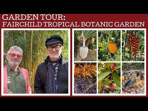 Garden Tour: The Fairchild Tropical Botanic Garden in Miami!