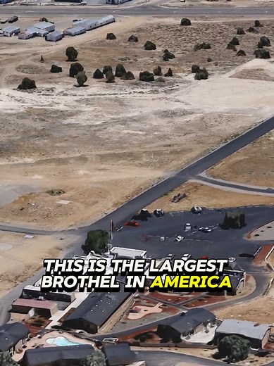 Exploring the Moonlight Bunny Ranch: America's Largest Brothel in Nevada
