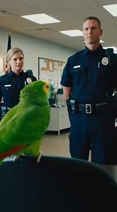 On‑Duty Cop vs Off‑Duty Cop 😂🦜🚔” #PoliceLifeUSA #OffDutyCop #PoliceHumor #FunnyParrot #USAComedy #LawEnforcementLife | parrot patrol usa