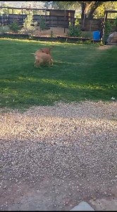 10K views · 470 reactions | Ladies and gentlemen ..we have a winner...