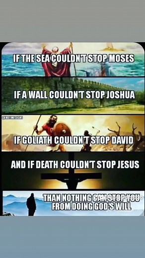 Charlotte Coleman953 on TikTok