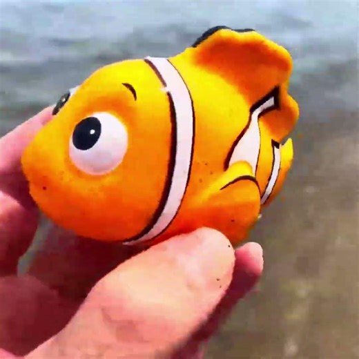 Mud-Dug Clownfish Squeeze & Clean!