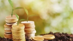 JioBlackRock Flexi Cap NFO: Rishi Kohli recommends SIPs for beginners, lump sums for experienced investors - BusinessToday