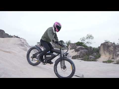 Hidoes B3 Off-Road Electric Bike | 26-inch Fat Tyre 1200W Motor