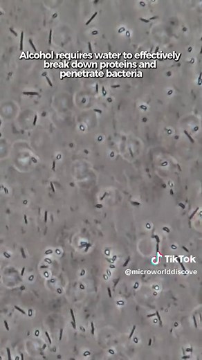 Exploring Alcohol's Effects Under a Microscope