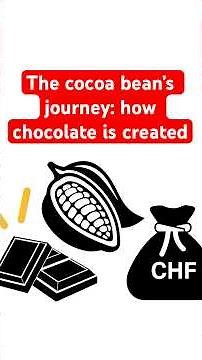 How the humble cocoa bean gets turned into chocolate and money