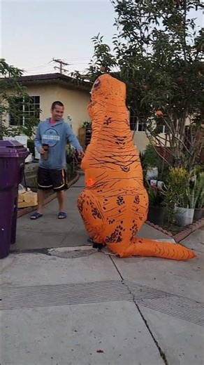 Hallloween costumes. #costume #dinosaur #princess #cinderella