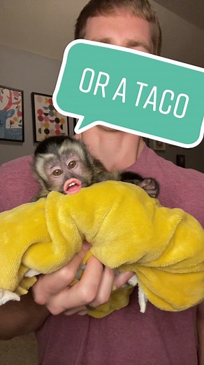 Georgie Boy Halloween Costume Ideas: Dress Up as Your Favorite Characters