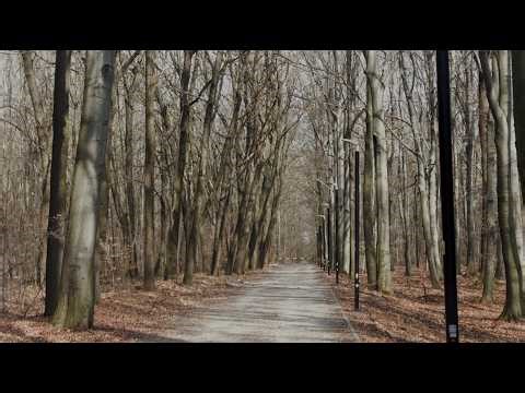 Alphasonic - Neon Forest (Official Video)