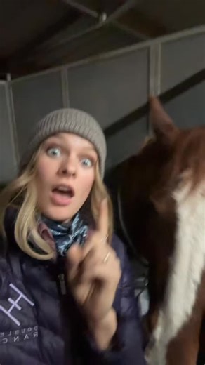 Double E Ranch on Instagram: "The New World Screwworm is a parasitic fly whose larvae feed on living tissue. Eradicated from the U.S. decades ago, it’s now moving north again through Mexico. No U.S. cases so far, but monitoring, sterile insect programs, and early reporting are critical to keeping it out. #animal #animalhealth #fly #mexico #usa"