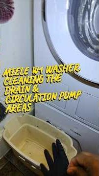 Cleaning the Drain and Circulation pump filters.