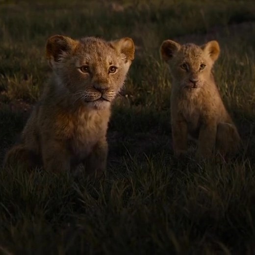 The Lion King Cartoon: Episode 9